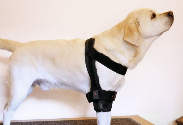 Bandage